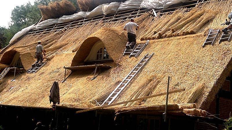Крыша из камыша своими руками: технология, монтаж