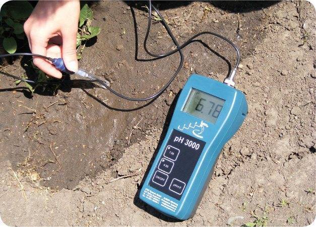Грунт для газона