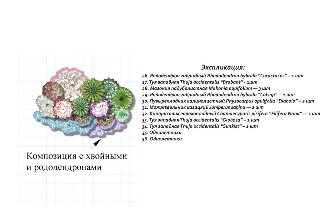 Рододендрон листопадный в дизайне сада: использование, выращивание и уход