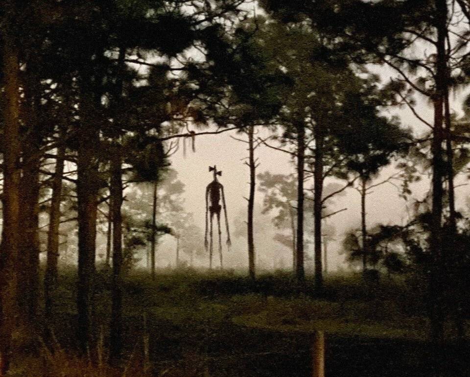 Топ-10 мифов об ипотеке - портал о застройщиках дом контроль