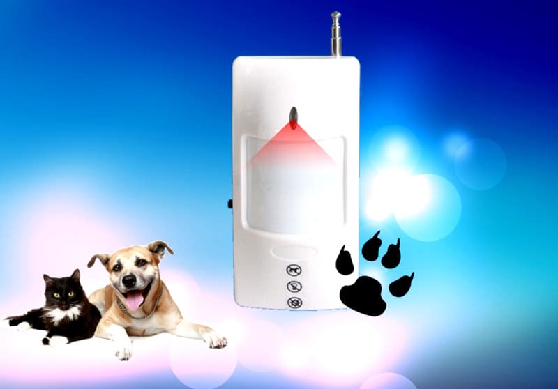 Датчик движения для включения света: устройство + принцип работы