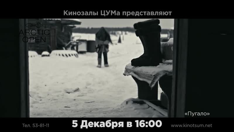 15 идиотских мифов, в которые люди до сих пор верят