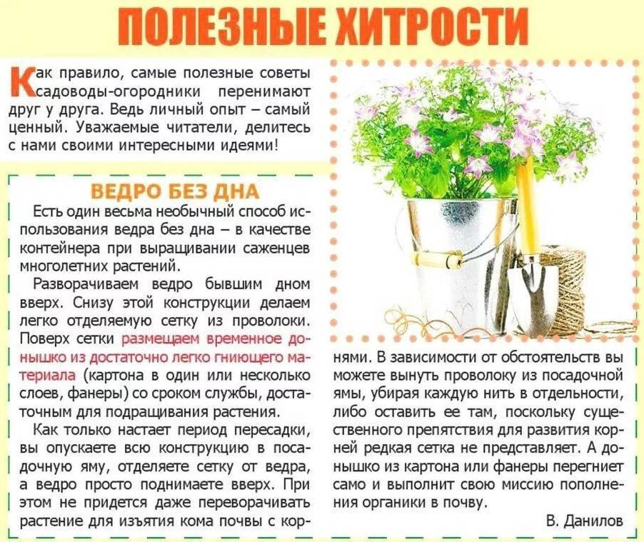 10+ лучших лайхаков для садоводов :: инфониак