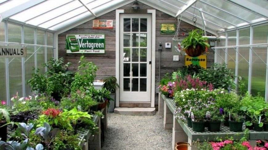 Парник своими руками