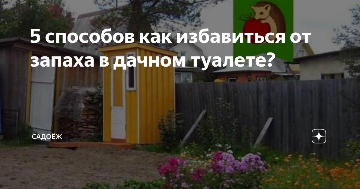 Средство для дачного туалета - обзор 16 препаратов