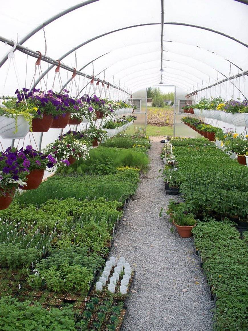 Парник своими руками