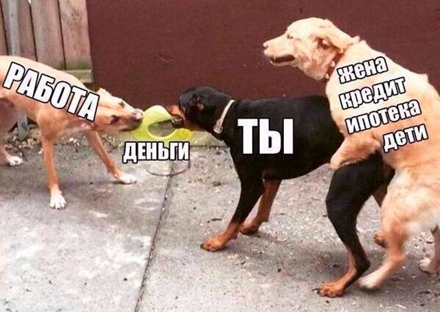 Очень странный ремонт: подборка из 9 фотографий, поднимающих настроение