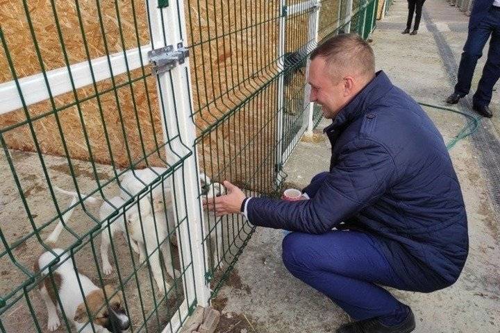 Медики рассказали, почему дезинфекция жилья хлоркой опасна