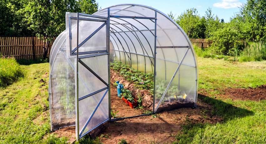 Парник своими руками