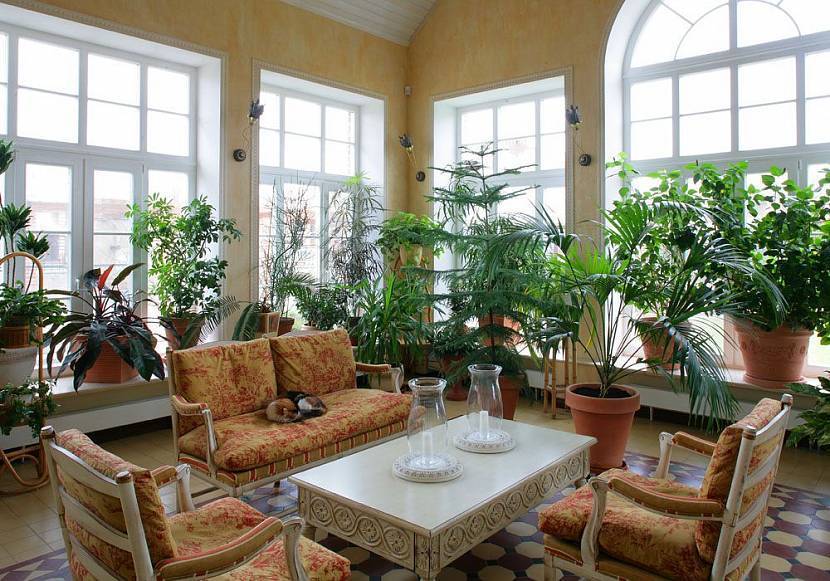 Как обустроить зимний сад в частном доме — раскрываем все нюансы