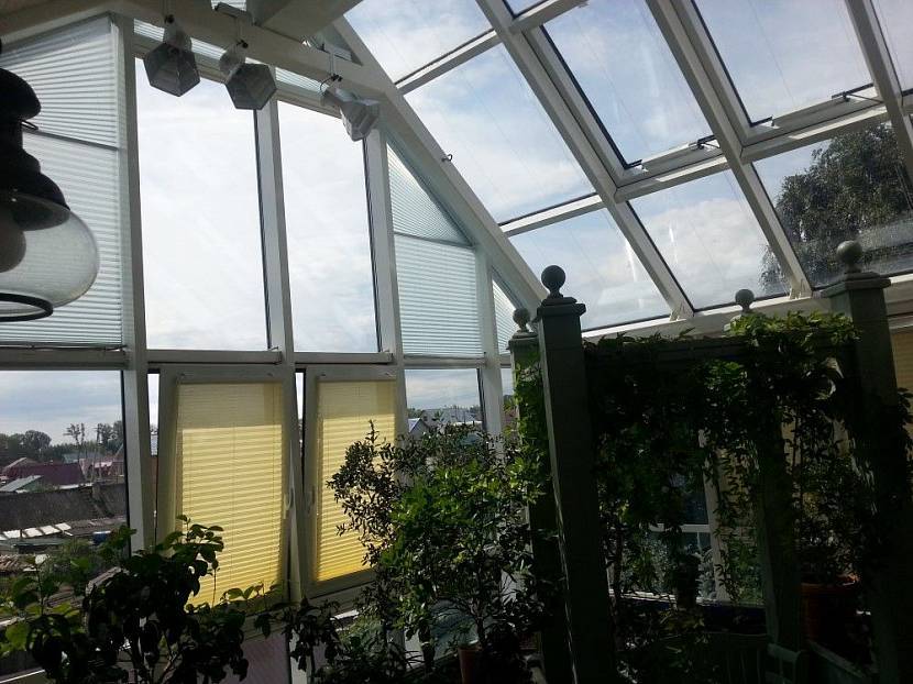 Как обустроить зимний сад в частном доме — раскрываем все нюансы