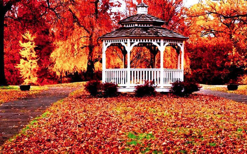 Самые простые беседки для дачи: 60 интересных идей для сада и двора