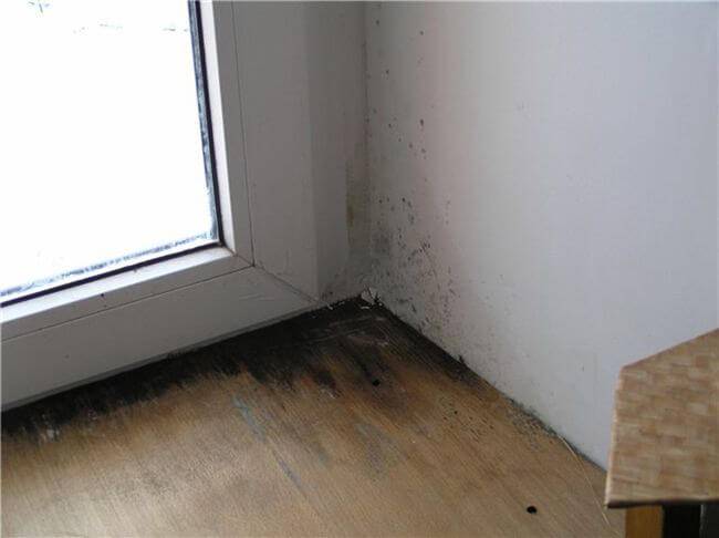 Штукатурка стен из газобетона внутри помещения: технология, пошаговая инструкция