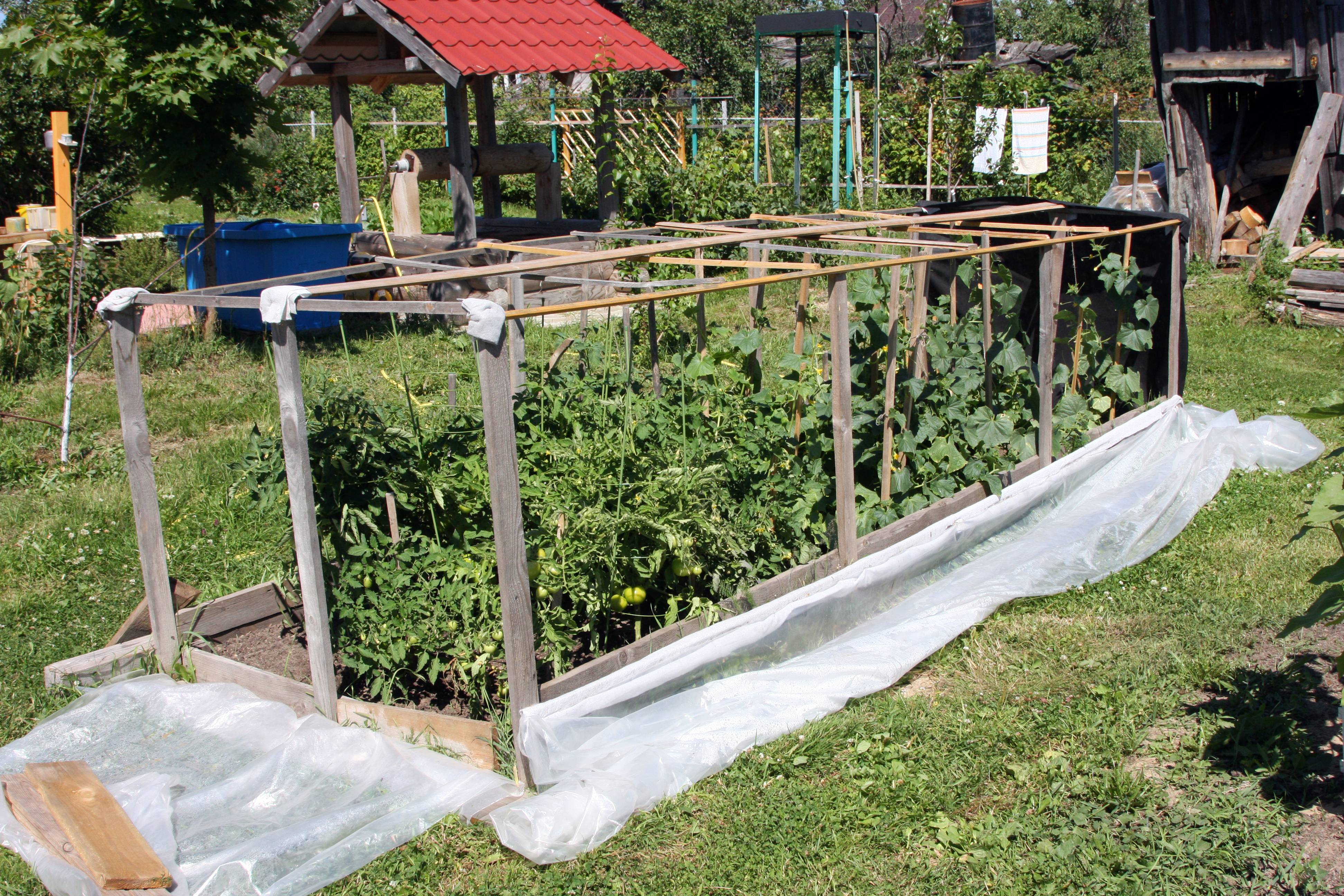 Как построить теплицу из поликарбоната своими руками — пошаговая инструкция с фото, видео и чертежами