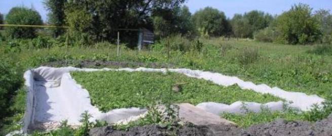 Выбрать геотекстиль для дренажа!