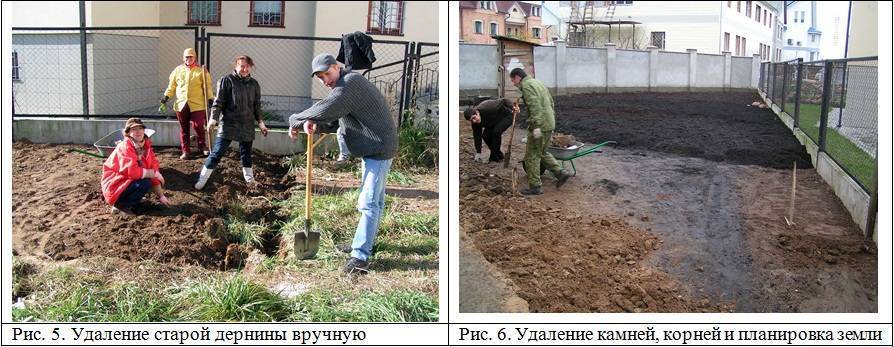 Как подготовить землю под газон своими руками