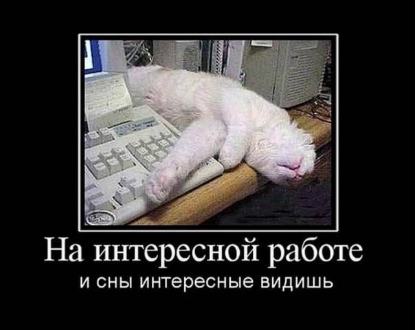 Очень странный ремонт: подборка из 9 фотографий, поднимающих настроение