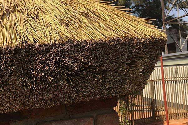 Крыша из камыша: технология строительства своими руками
