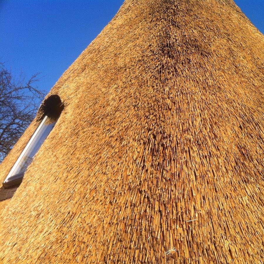 Крыша из камыша