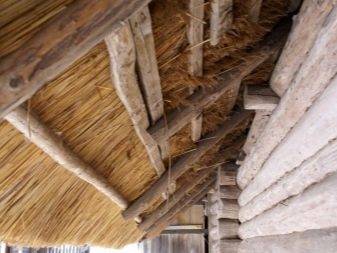 Крыша из камыша своими руками: как заготовить материал и сделать все самостоятельно