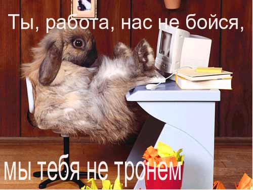 Очень странный ремонт: подборка из 9 фотографий, поднимающих настроение