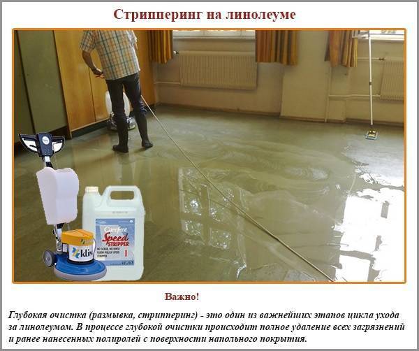 Чистка линолеума - обзор лучших средств и пошаговая инструкция