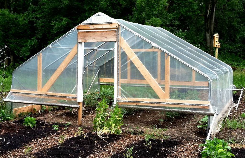 Теплица своими руками: самые лучшие проекты от а до я
