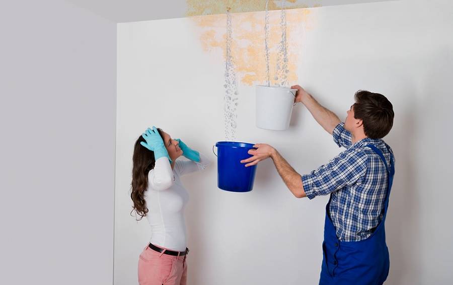 Что делать, если вас затопили соседи