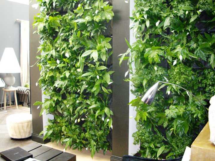 Как обустроить зимний сад в частном доме — раскрываем все нюансы