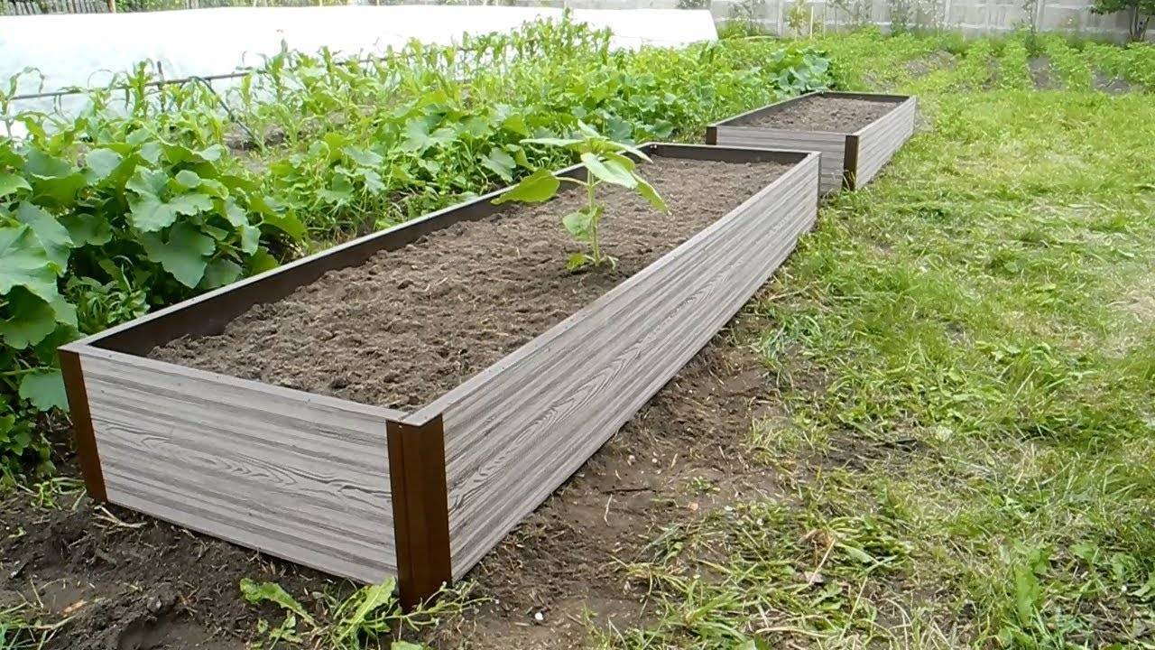 Стоит ли делать высокие грядки на даче: минусы, о которых стоит знать садоводу