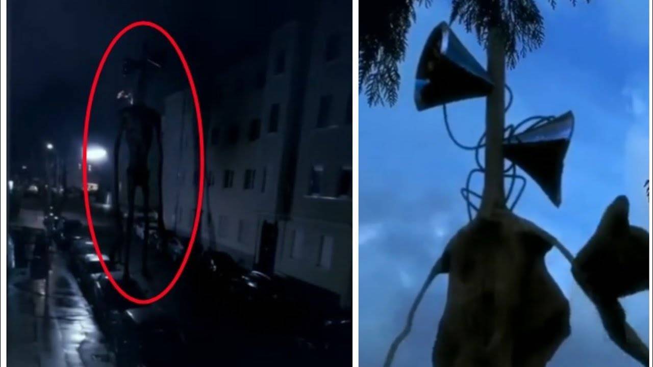 5 мифов о менделееве, в которые верят до сих пор. ридус