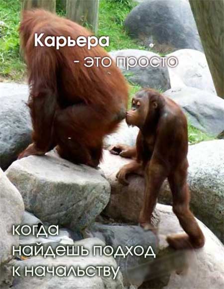 Очень странный ремонт: подборка из 9 фотографий, поднимающих настроение