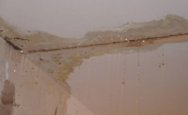 Что делать, если вас затопили соседи