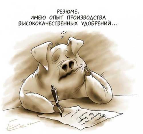 Очень странный ремонт: подборка из 9 фотографий, поднимающих настроение