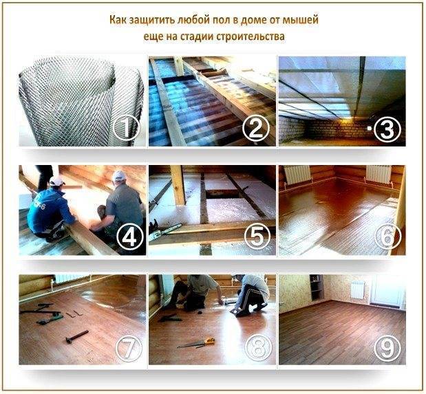 История избавления от мышей в доме из бруса: личный опыт и какой утеплитель грызут мыши чаще всего
