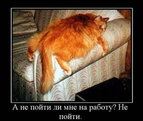 Очень странный ремонт: подборка из 9 фотографий, поднимающих настроение