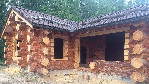 Из какой древесины лучше строить дом?