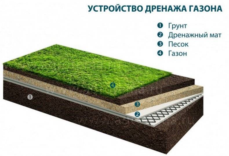 Грунт для газона: правильный выбор почвы и ее корректная подготовка