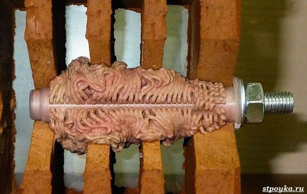 Химический анкер: назначение, разновидности, где можно купить и стоимость