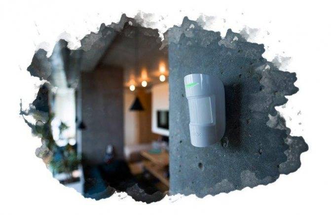 Какой выбрать датчик движения для включения света: ТОП-10 лучших датчиков движения