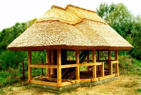 Крыша из камыша своими руками: как заготовить материал и сделать все самостоятельно