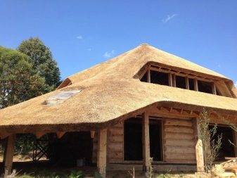 Крыша из камыша своими руками: как заготовить материал и сделать все самостоятельно