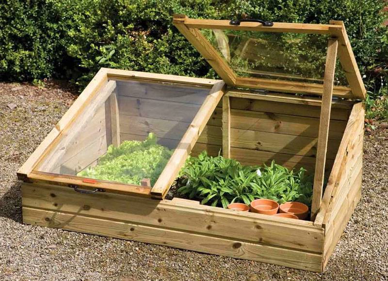 2021 ᐈ ? (+63 фото) теплица из поликарбоната своими руками чертежи