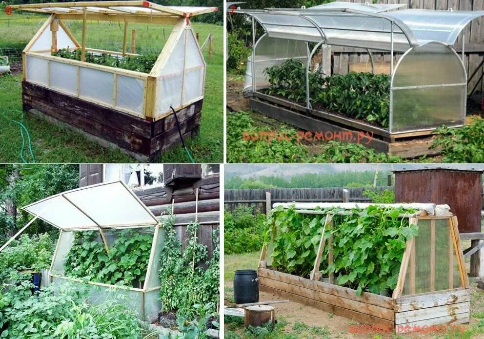 Парник своими руками: фото, проекты, материалы, видео инструкция