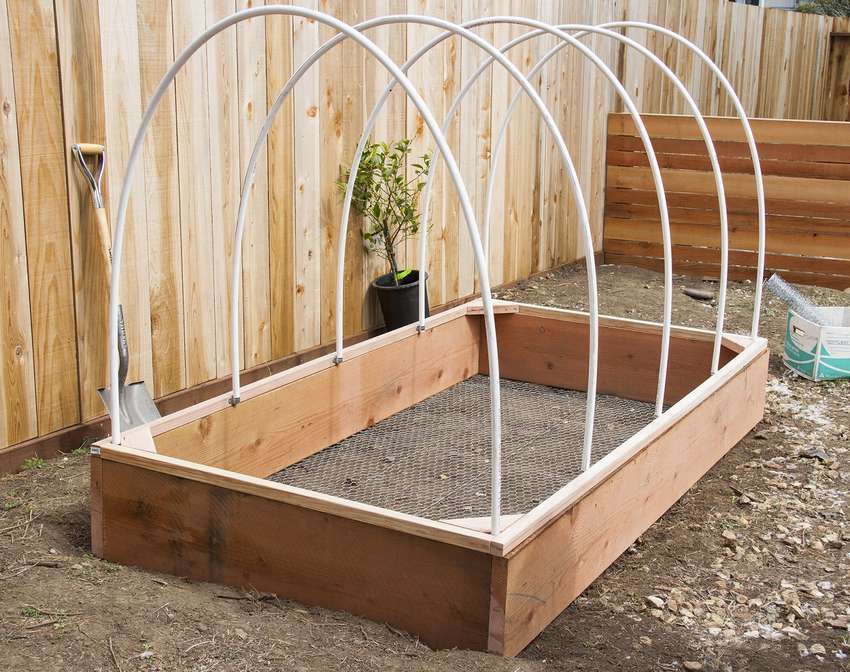 Теплица своими руками: как сделать, проекты и виды