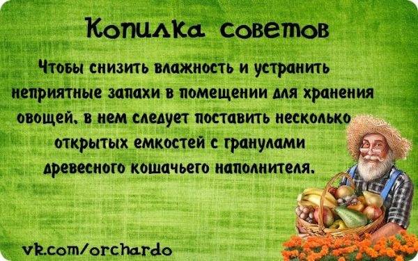 #лучшедома: 15 интересных лайфхаков для любителей сада во время домашней изоляции