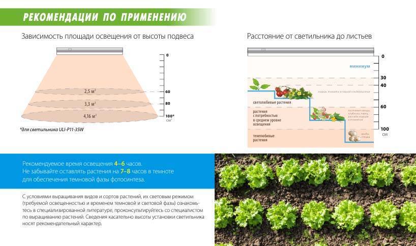 Что такое освещенность, цветовая температура, яркость света: расчет и нормы освещенности