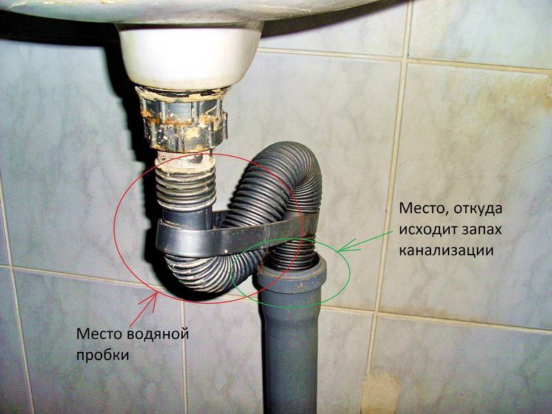 Как избавиться от запаха канализации в квартире