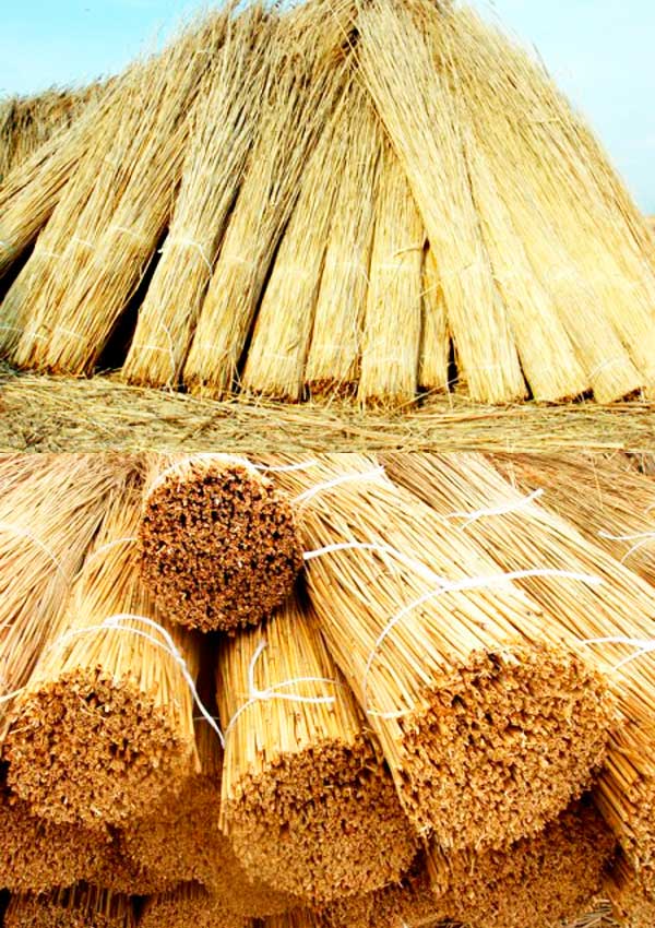 Крыша из камыша своими руками: как заготовить материал и сделать все самостоятельно