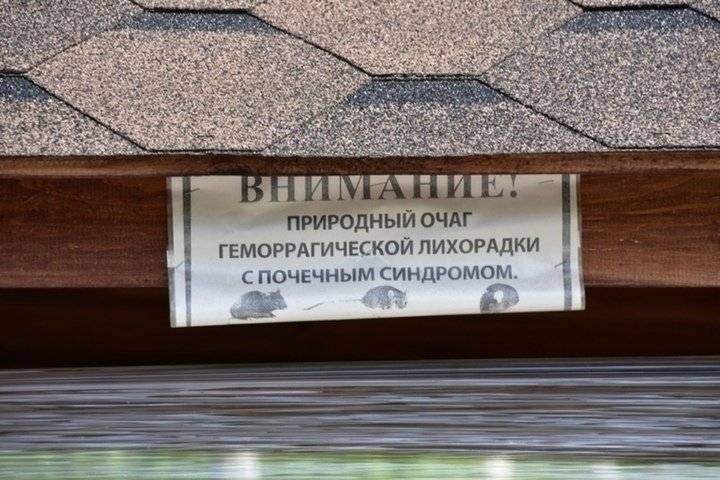 Медики рассказали, почему дезинфекция жилья хлоркой опасна